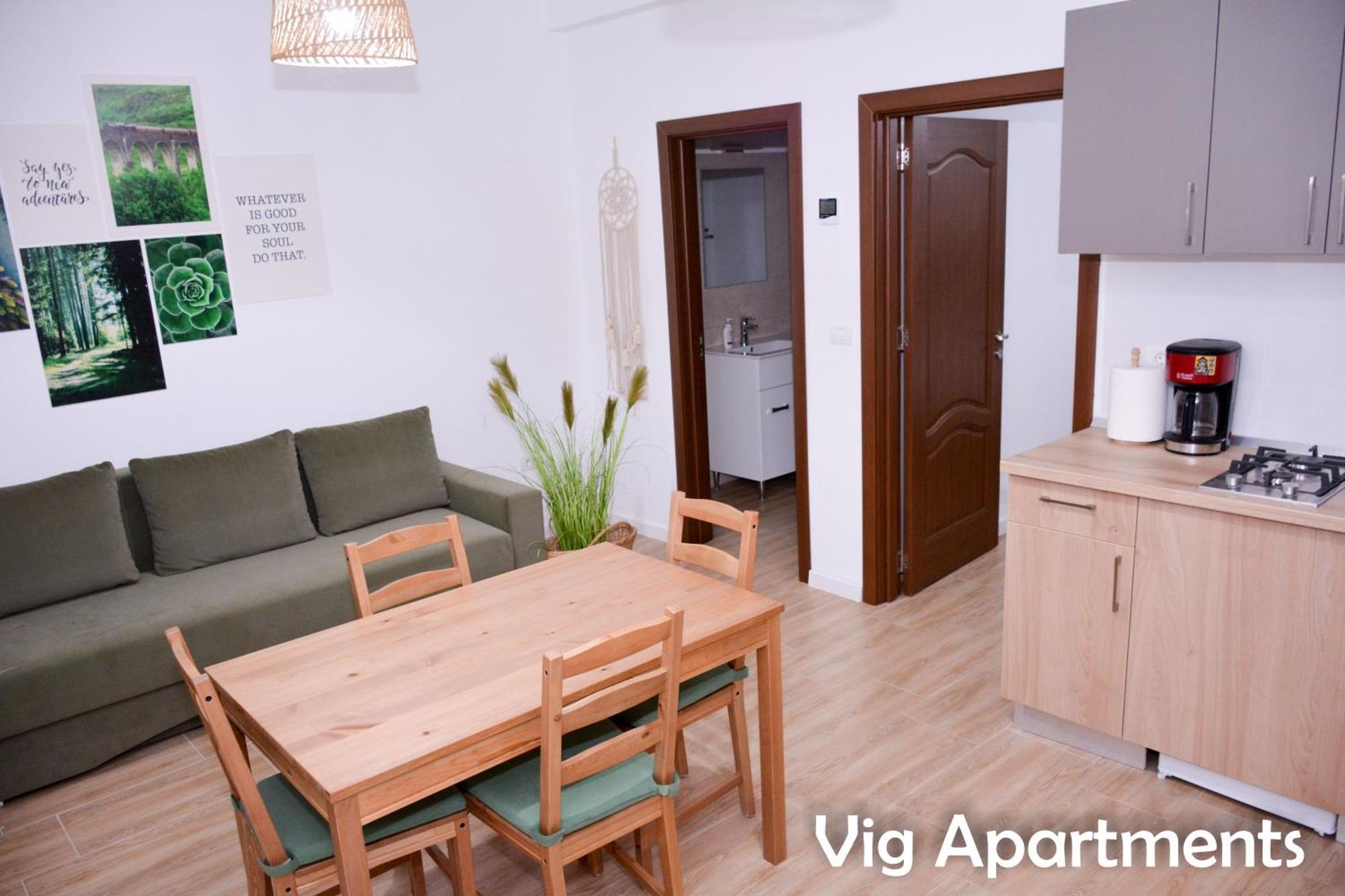 Vig Apartments Timisoara Bagian luar foto