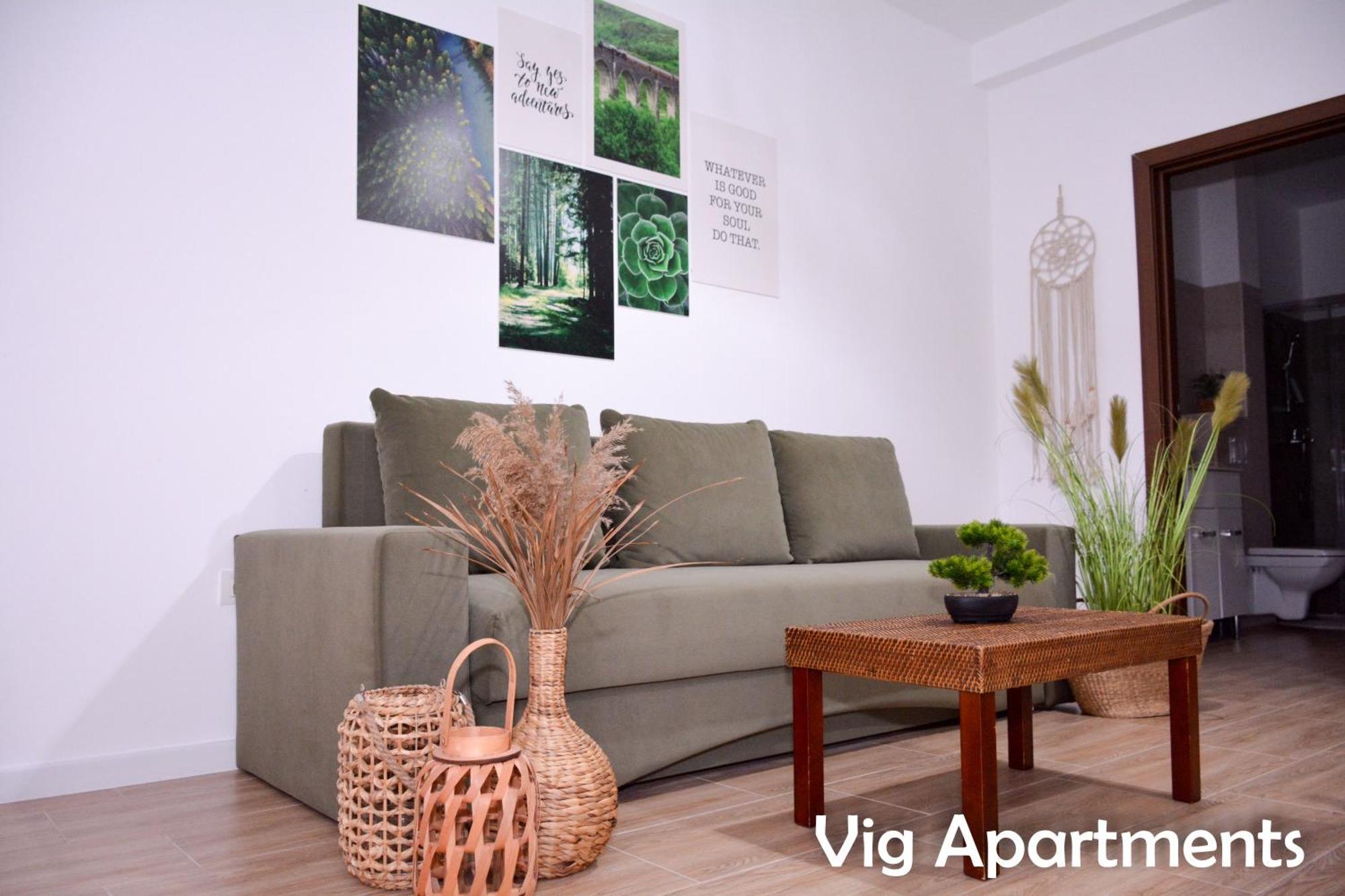 Vig Apartments Timisoara Bagian luar foto