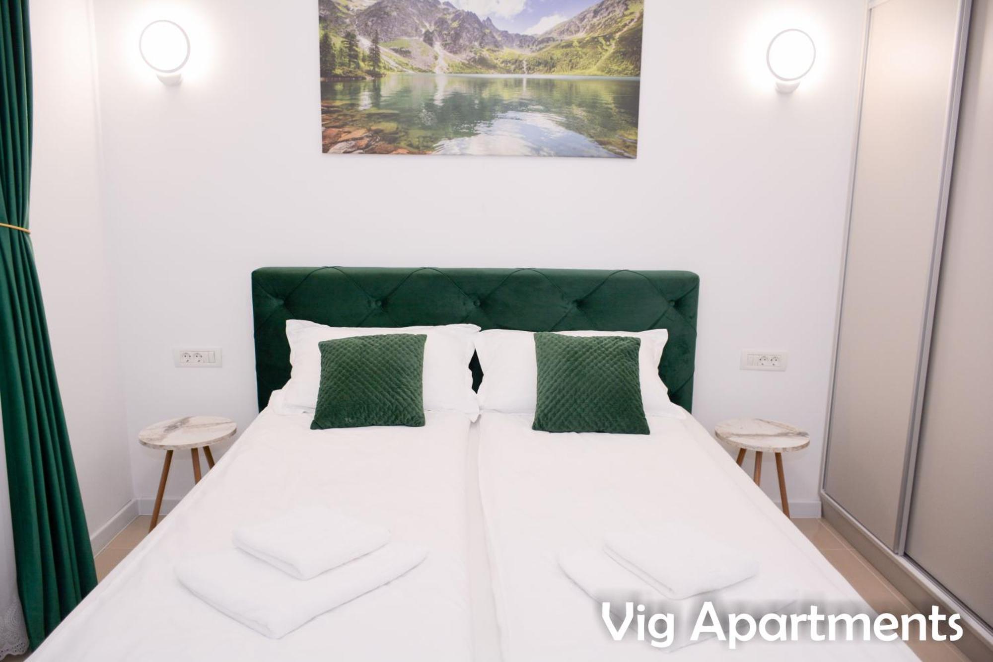 Vig Apartments Timisoara Bagian luar foto