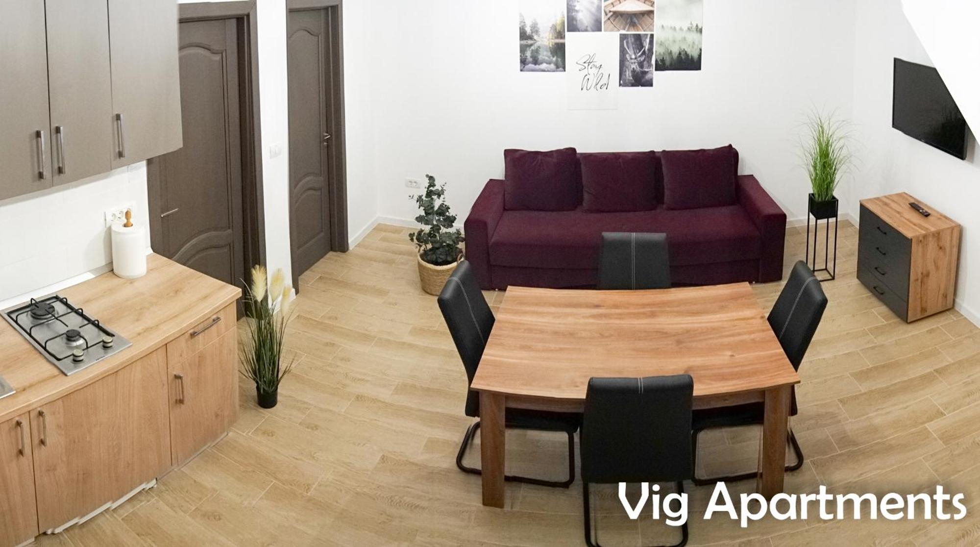 Vig Apartments Timisoara Bagian luar foto